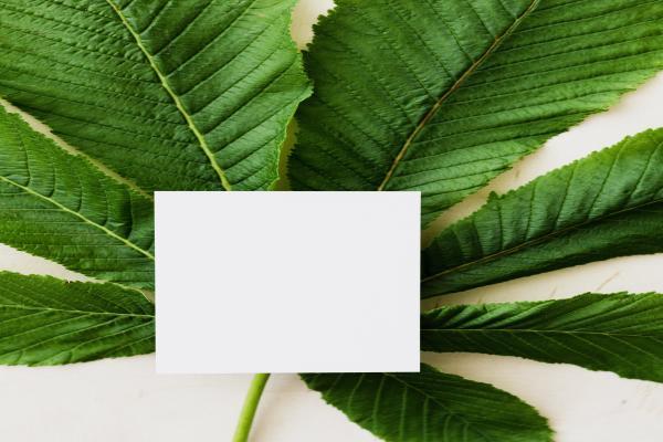 广发卡信用卡逾期90天