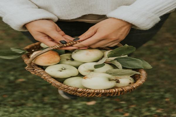 泰康鑫福年金是什么，多少年能拿回本金