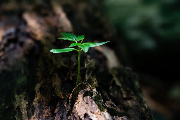 责任保险是否属于财产保险，重要性和应用领域