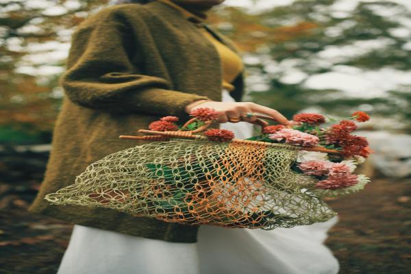 猫狗咬伤是否属于意外险范畴，如何选择适合的宠物保险