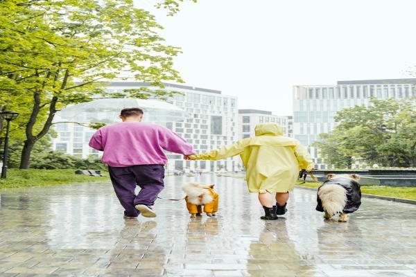 大病险和重疾险的区别和适用场景是什么，保费和理赔方式有何不同