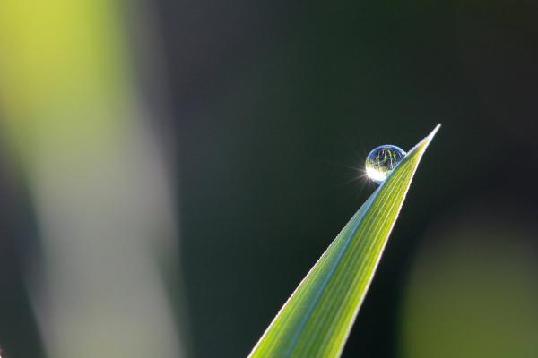 意外险受益人是自己身故怎么办