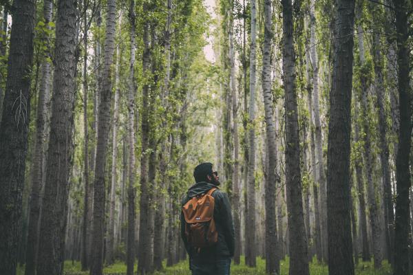 中国人寿保险公司的性质，经营方式