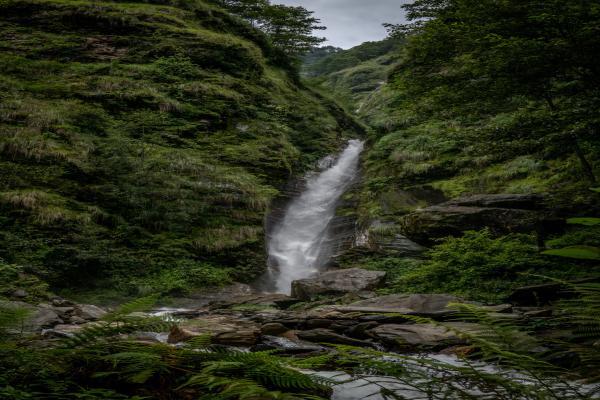 保险公司退保电话，元保保险公司的退保政策如何