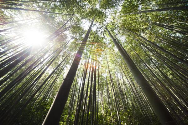 泰康百万医疗保险一年要交多少保费