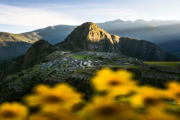 平安增财宝年金保险