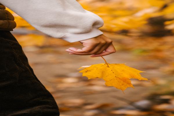 医疗保险的报销比例，个人需要支付的费用