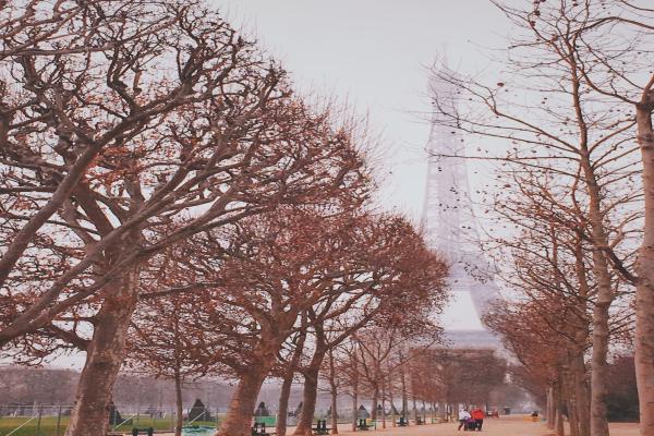 养老重复参保如何办理退保，重复参保对个人养老金有何影响