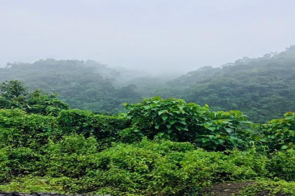 20元意外险包括哪些范围