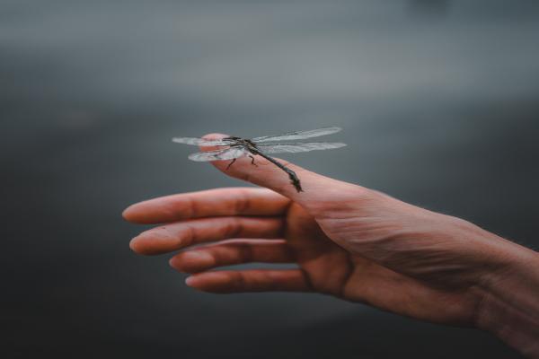 医疗保险的重要性，健康管理的必要性