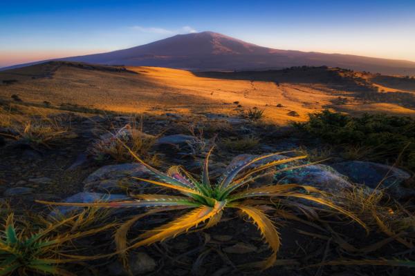 医疗保险的终身保障，百万医疗保险的覆盖范围