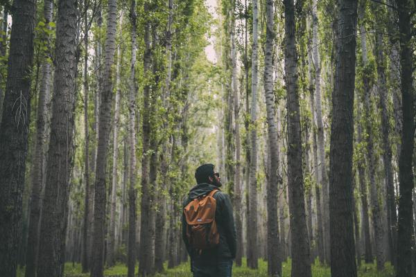 保险赔偿，疾病死亡险赔吗