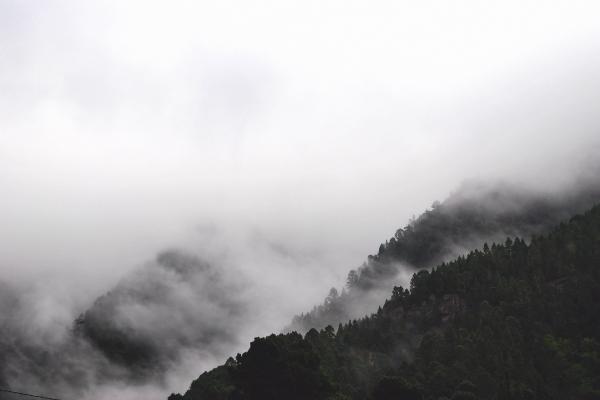 退保犹豫期的定义和作用，时限和注意事项