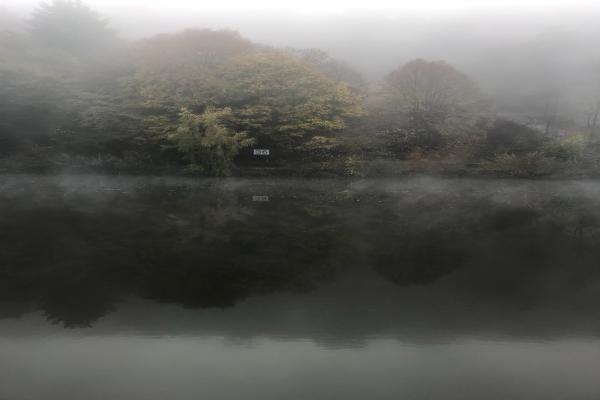 统筹保险的优势和应用领域，风险管理策略