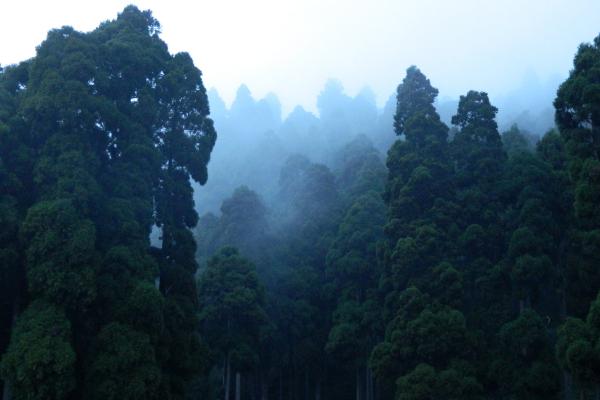 华夏保险更名为瑞众保险的原因是什么，买的重疾险能退吗